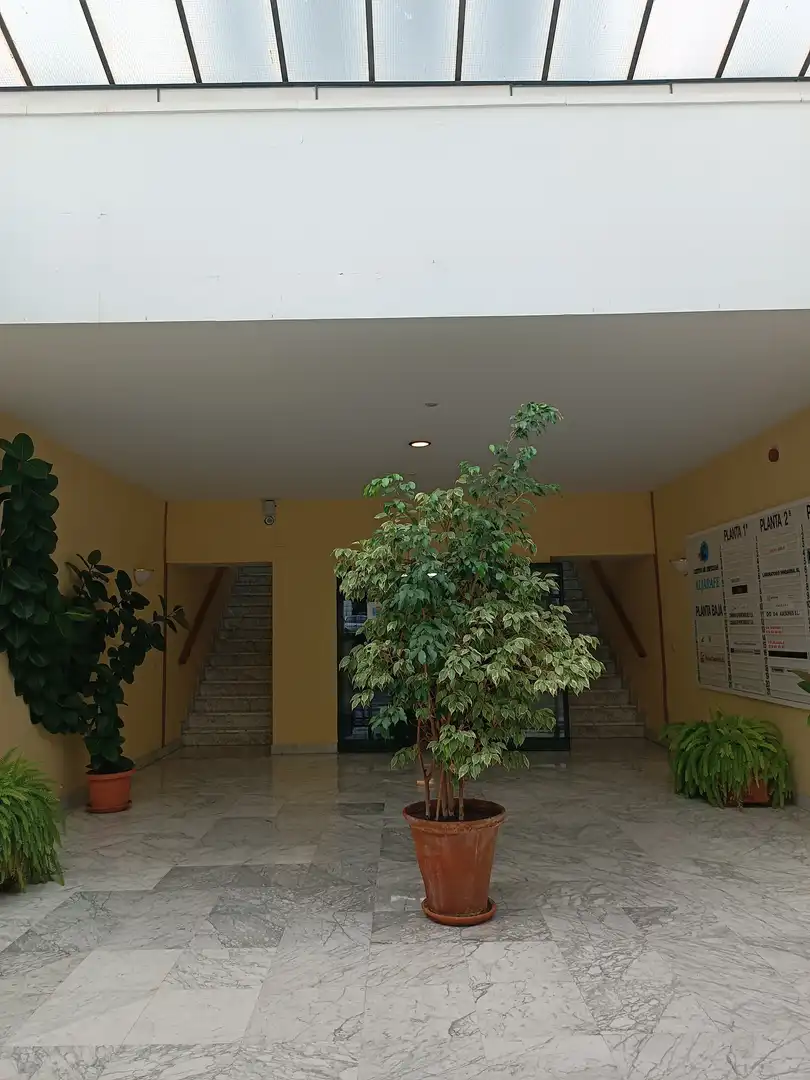 Büro mit Aufzug zur Miete in Calle Horizonte, imagen 8