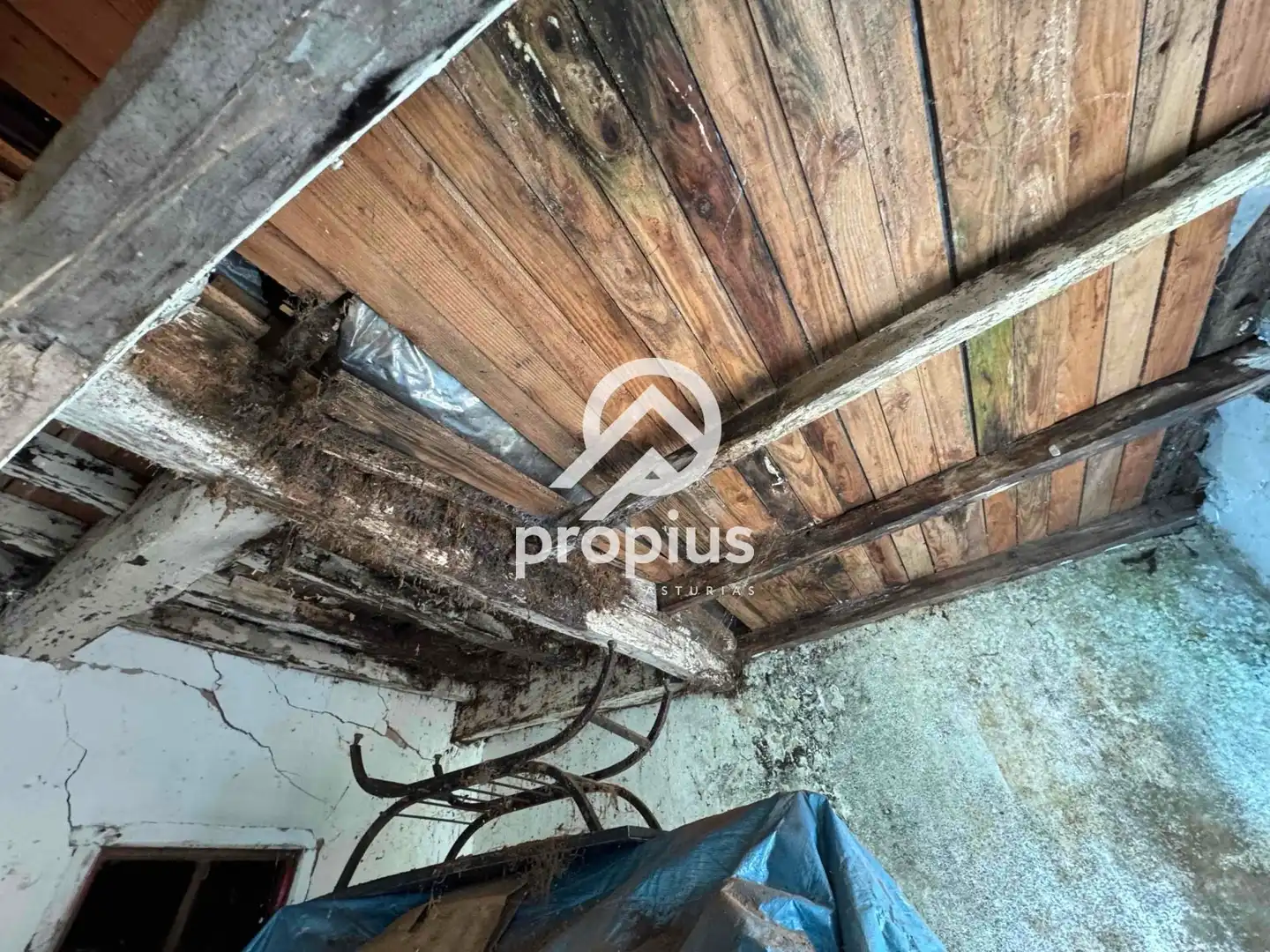 House for sale in Cortines, imagen 18