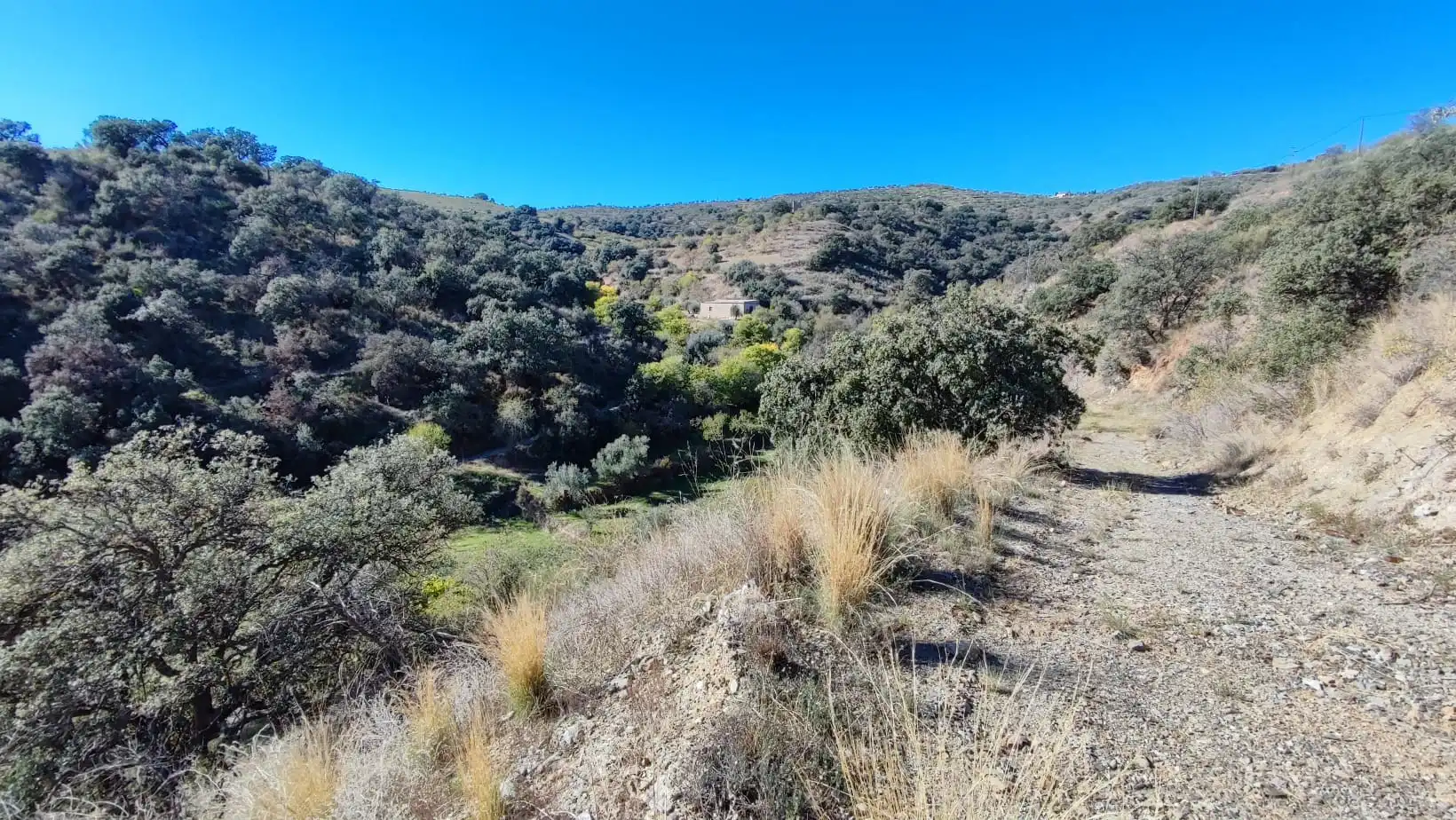Land for sale in Alcudia de Monteagud