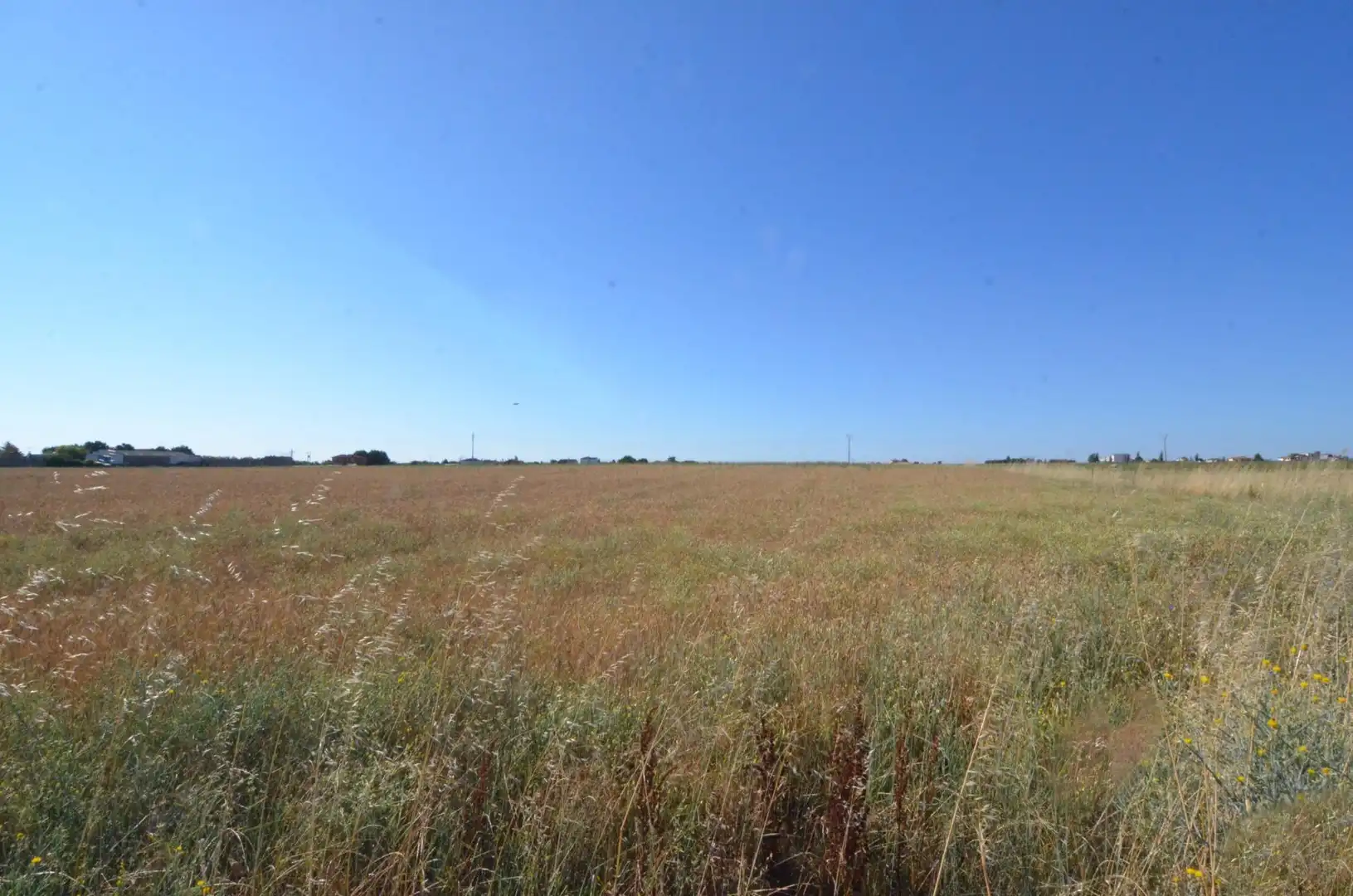 Rural land for sale in Calzada de Valdunciel, imagen 5