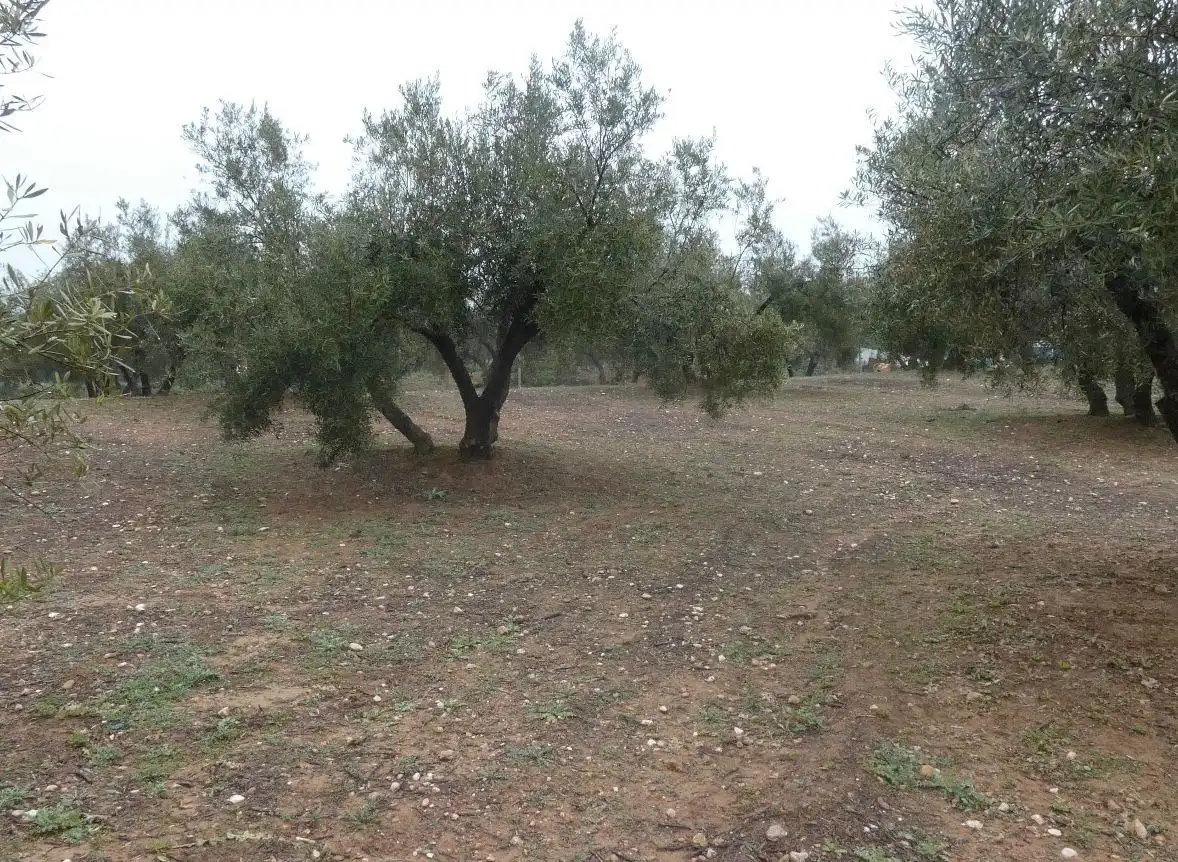 Terreni e lotti in vendita a Peligros, imagen 28