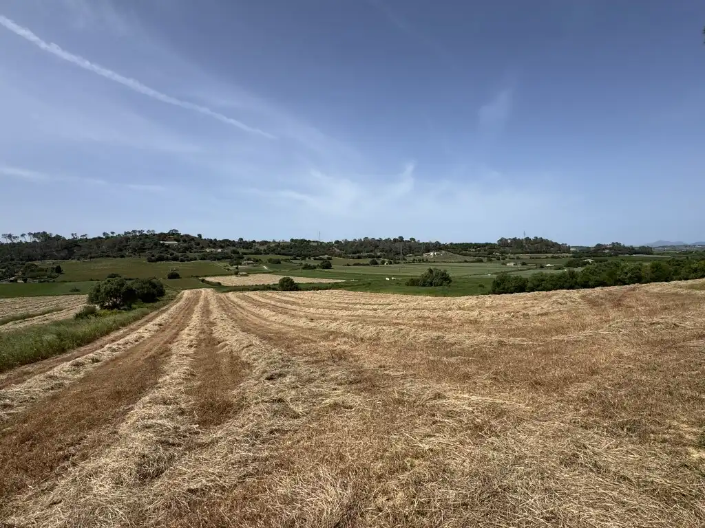 Terreny rústic en venda a Sineu, imagen 11