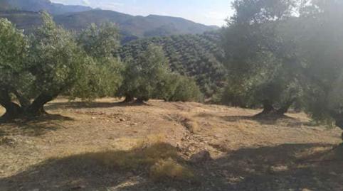 Foto 2 de Residencial en venda a Paraje la Jorquera, 11503, Villanueva del Arzobispo, Jaén