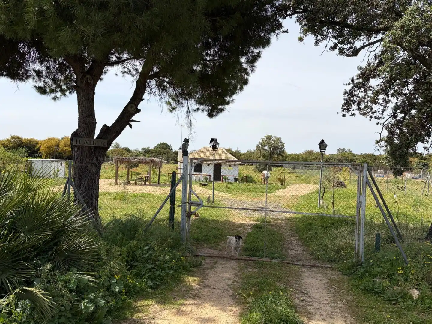 Casa o chalet en venta en Hinojos con Jardín privado