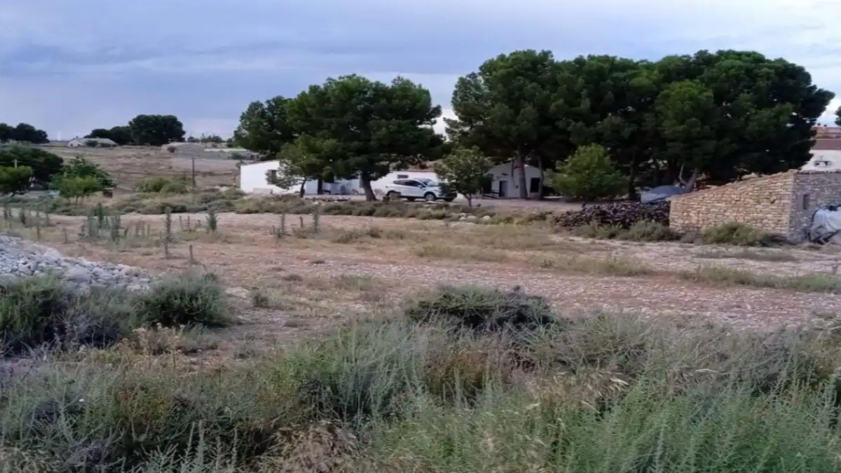 Lands and plots for sale in UE-2 PGOU LA MUELA, B-7, imagen 6