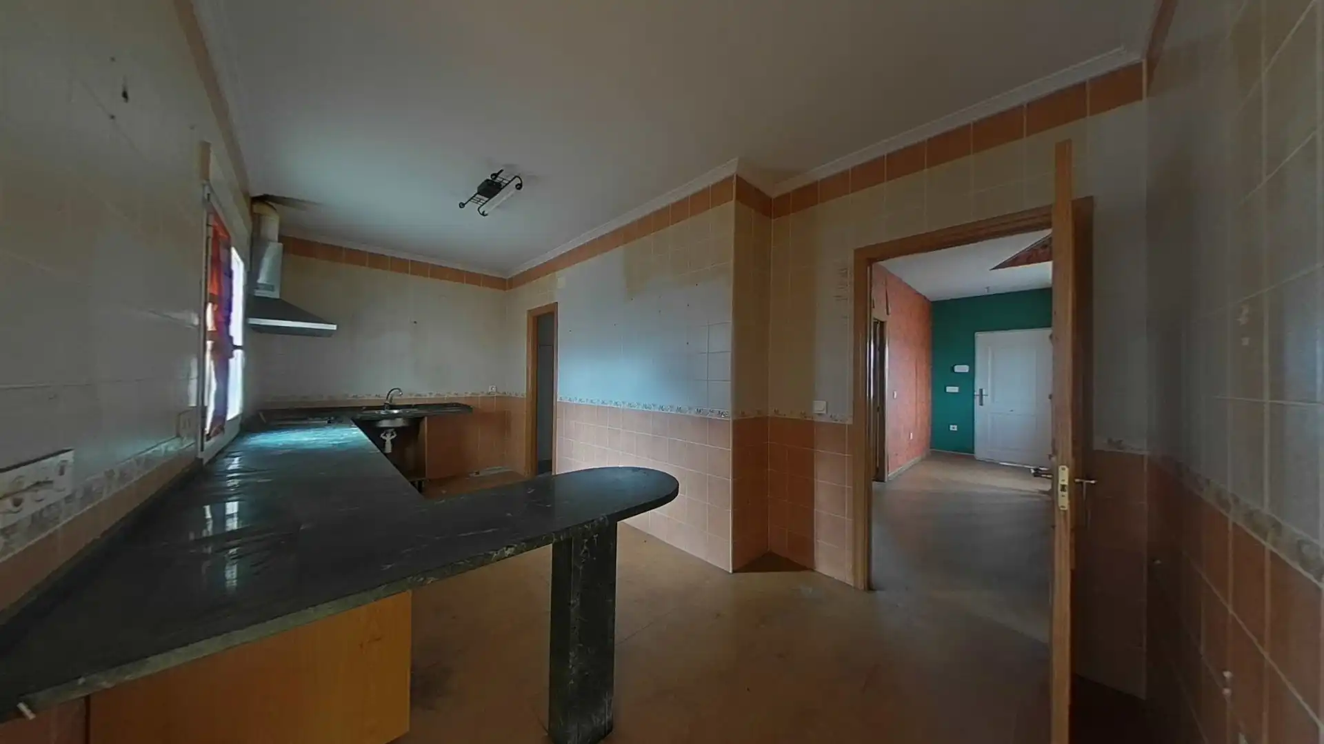Kitchen of Detached homes for sale in Miguel Esteban