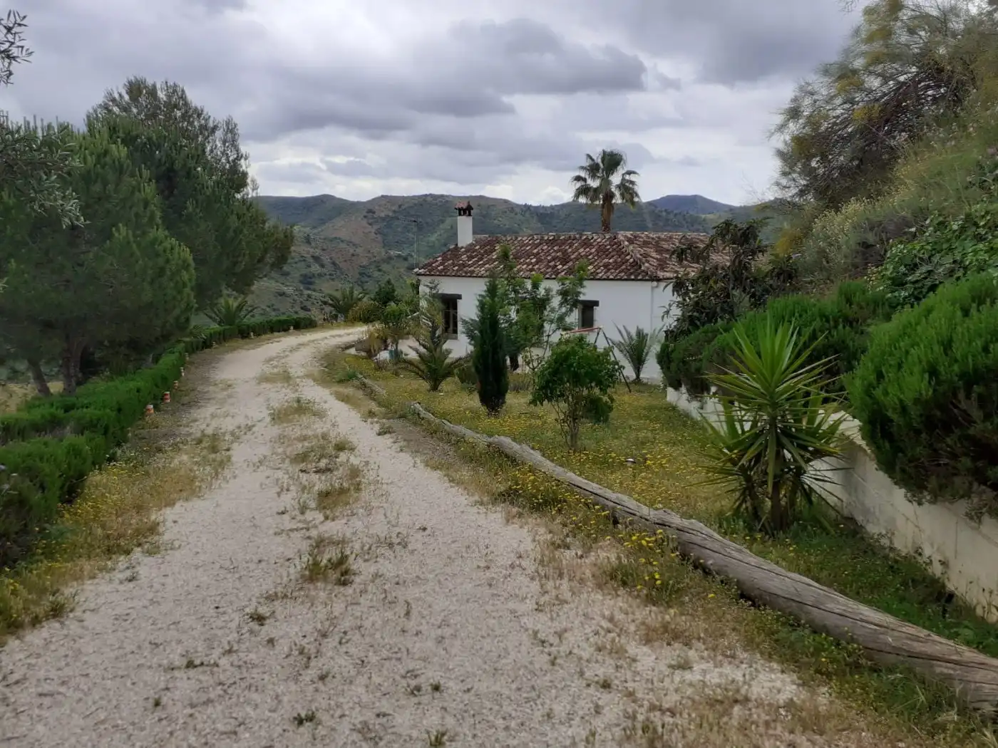 Vista exterior de Casa o chalet en venta en Casabermeja con Calefacción, Jardín privado y Terraza