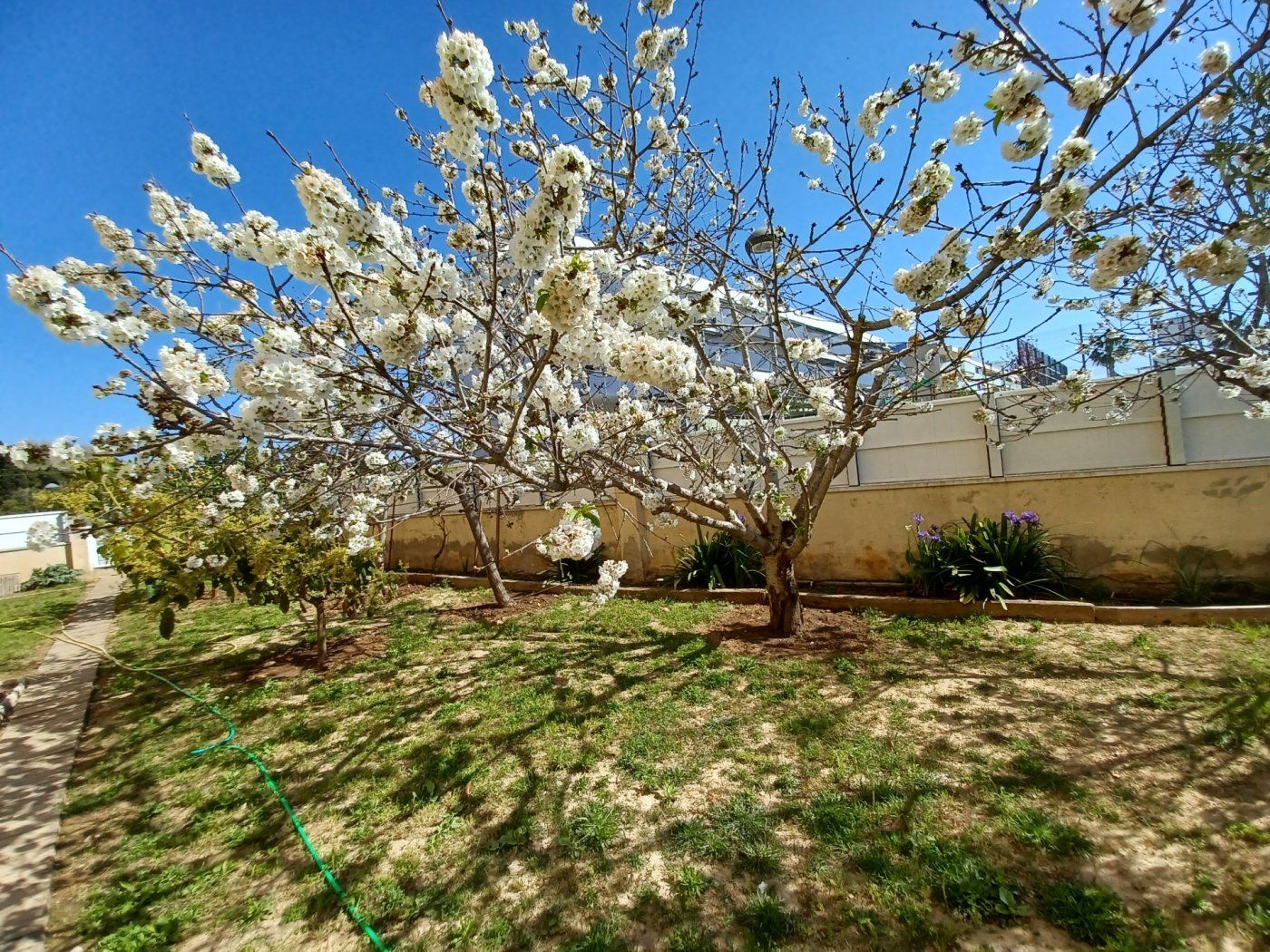 Jardín de Planta baja en venta en Cunit con Calefacción, Jardín privado y Terraza