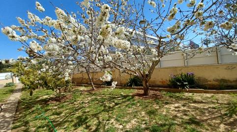 Photo 3 of Planta baja for sale in Cunidor, Cunit