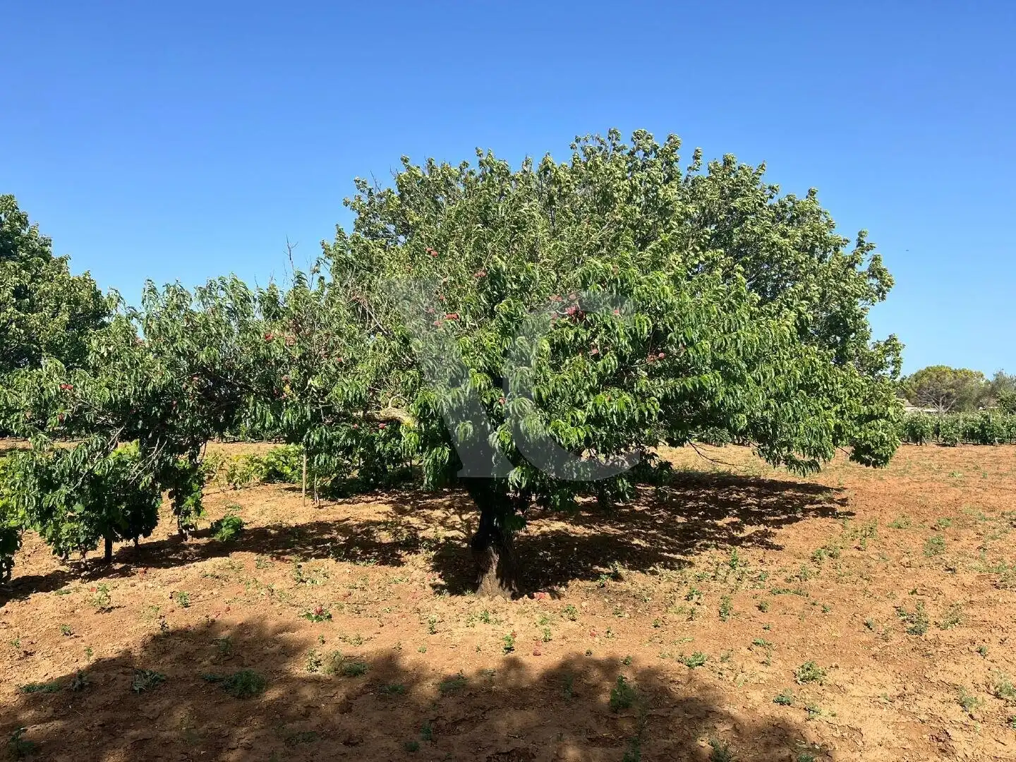 Residential zum Verkauf in Chiclana de la Frontera