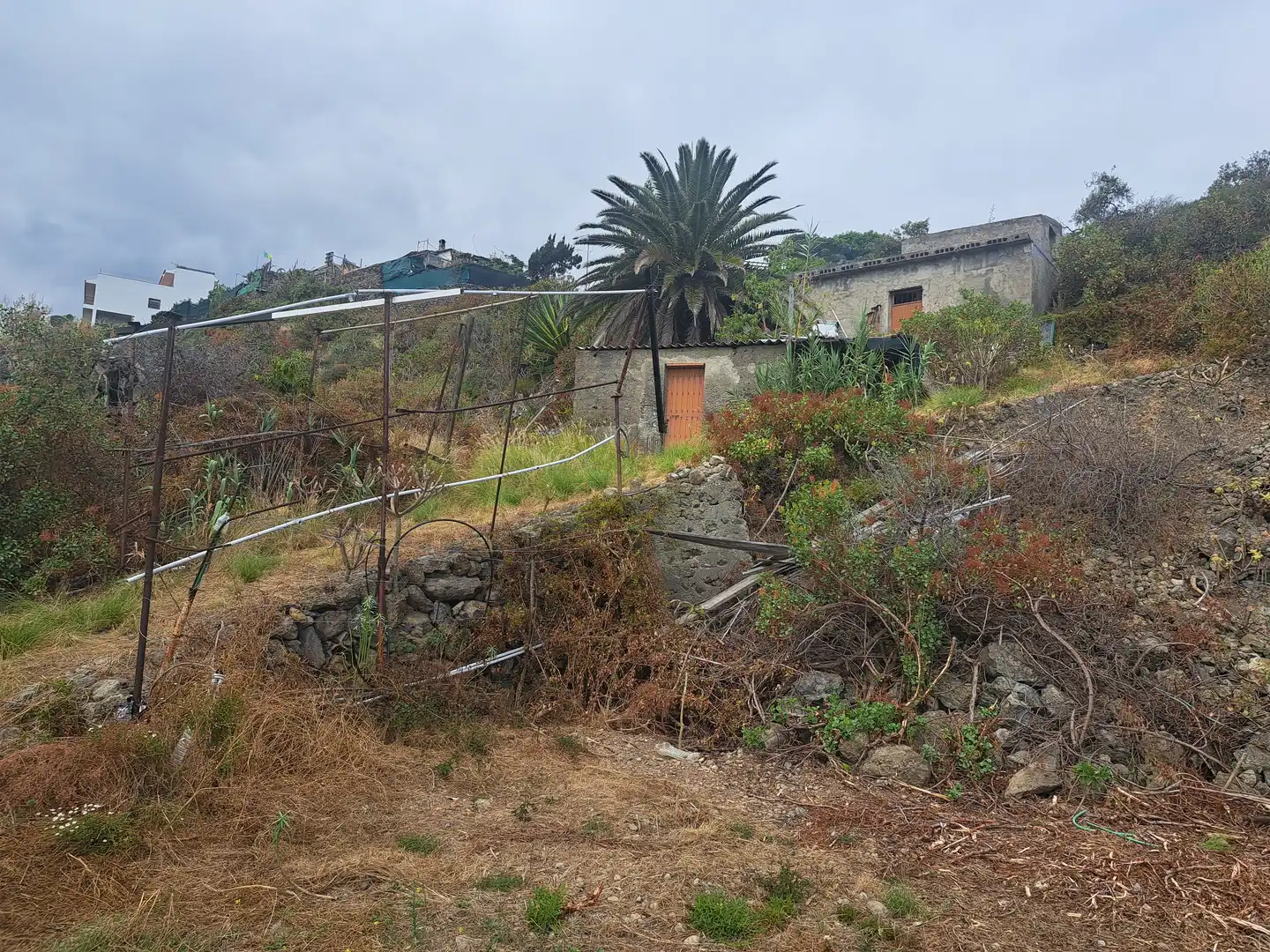 Land for sale in La Guancha
