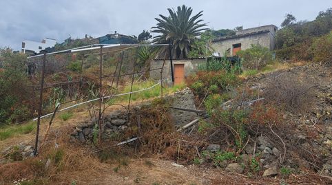 Photo 4 of Land for sale in La Cascajera S/nº, La Guancha, Santa Cruz de Tenerife