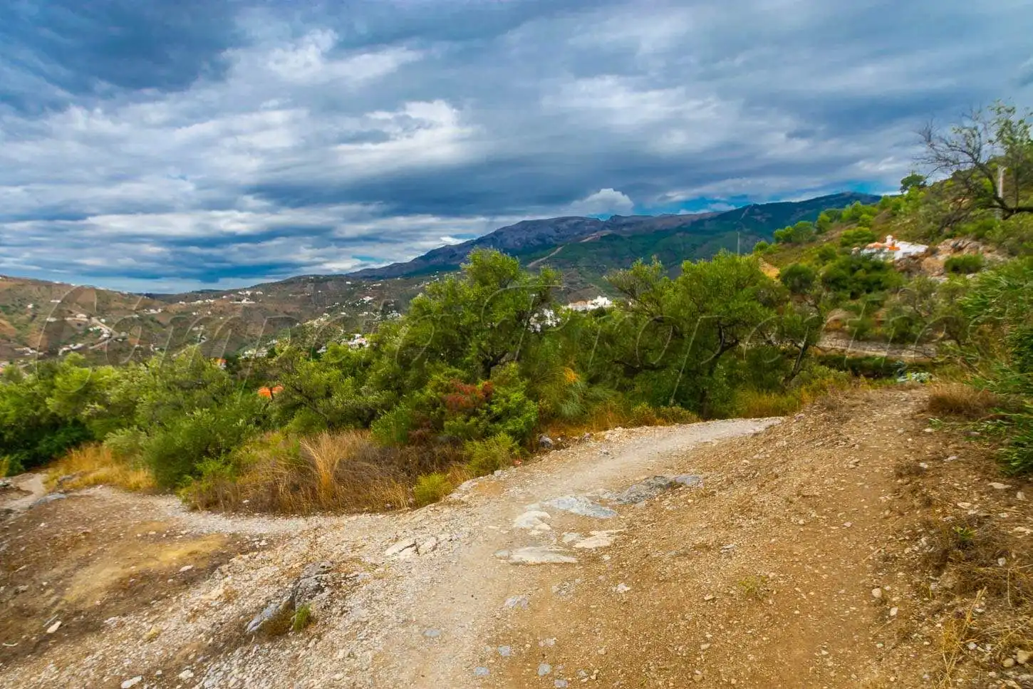 Terreny rústic en venda a Canillas de Albaida, imagen 5