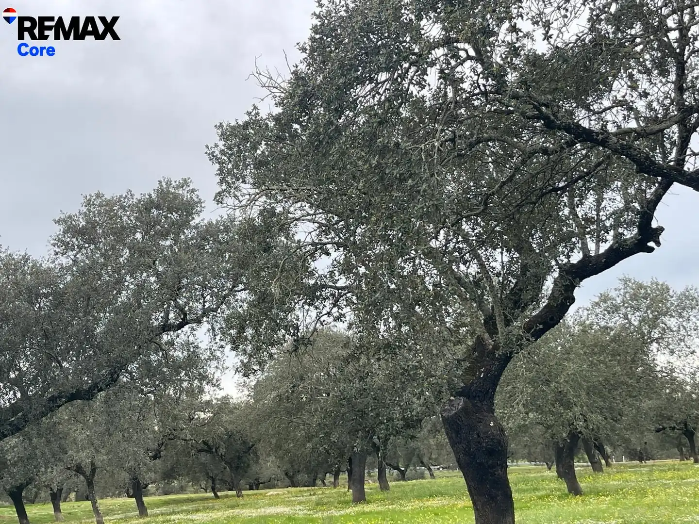 Terreni e lotti in vendita a Jerez de los Caballeros, imagen 19