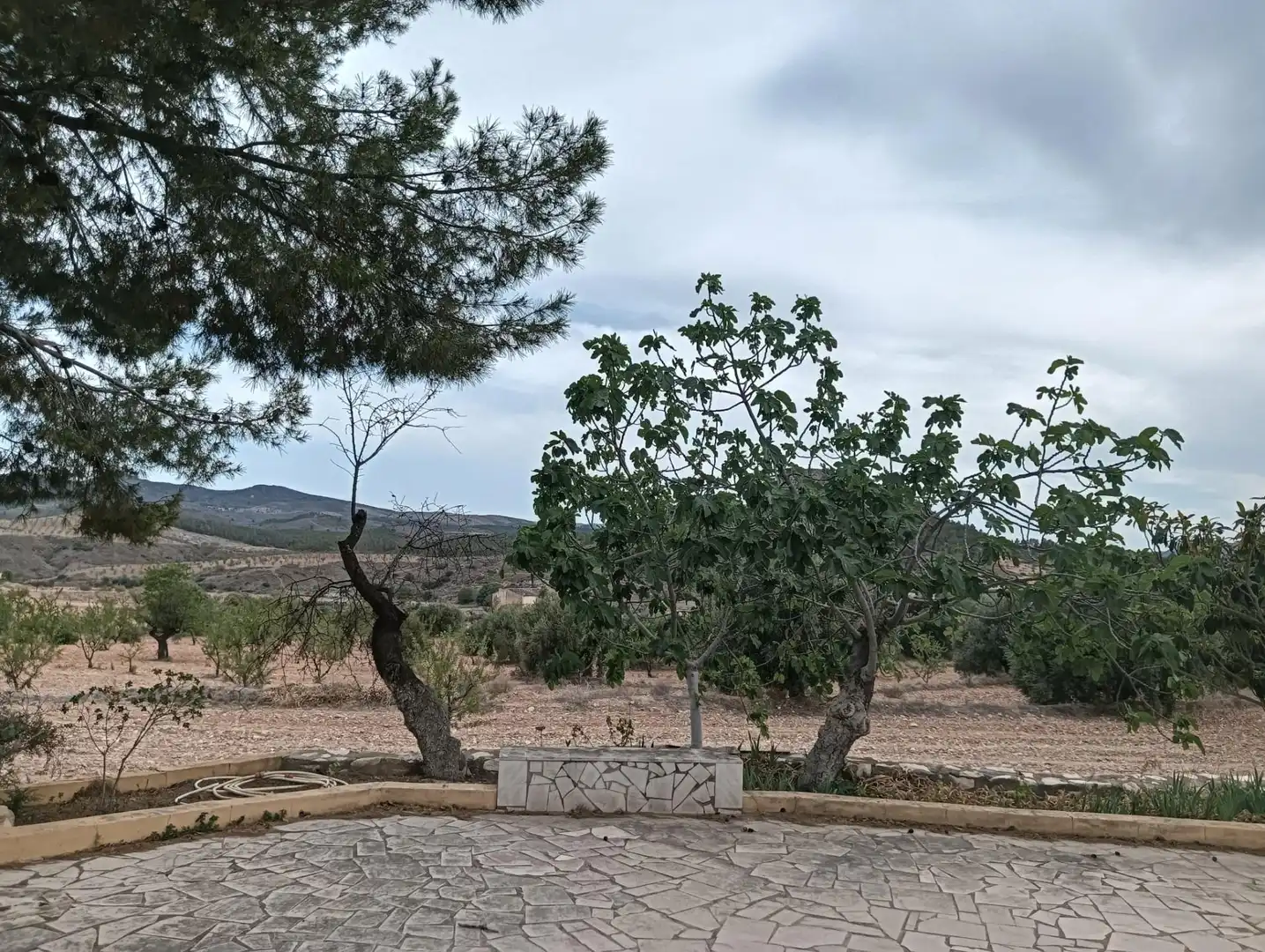 Casa en venda a Lorca Ciudad, imagen 64