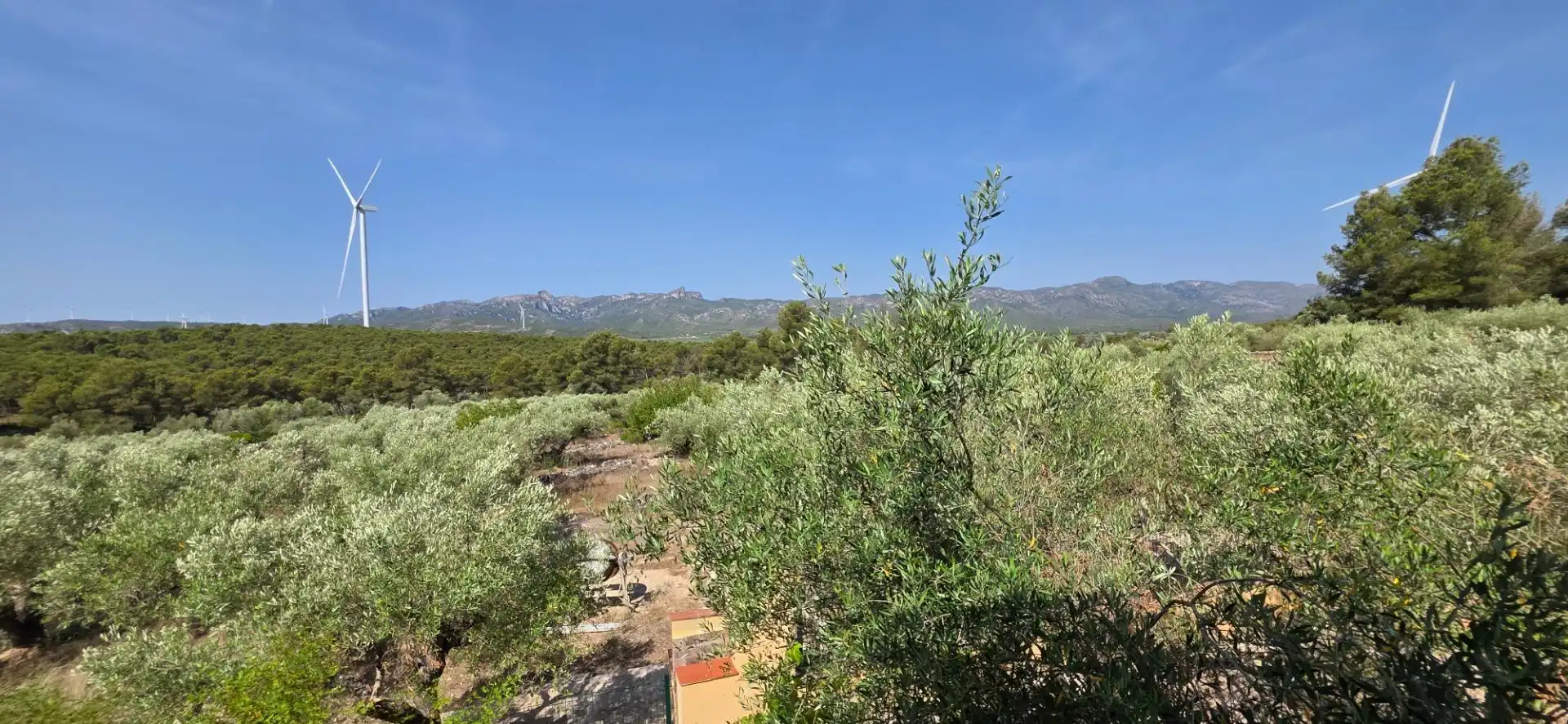 Casa rustica con piscina in vendita a El Perelló, imagen 33