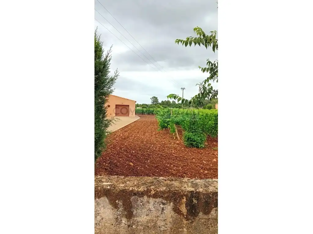 Houses for sale in Costitx