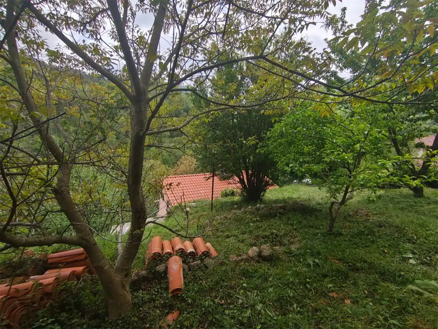Piso en venta en Molló con Jardín privado y Amueblado