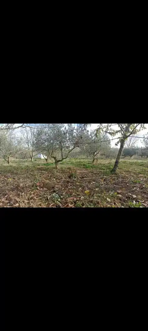 Terreno en venta en Pitillas