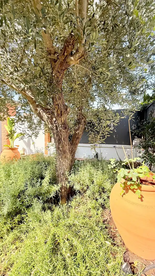 Jardí de Casa adosada en venda en Cunit amb Aire condicionat, Calefacció i Jardí privat