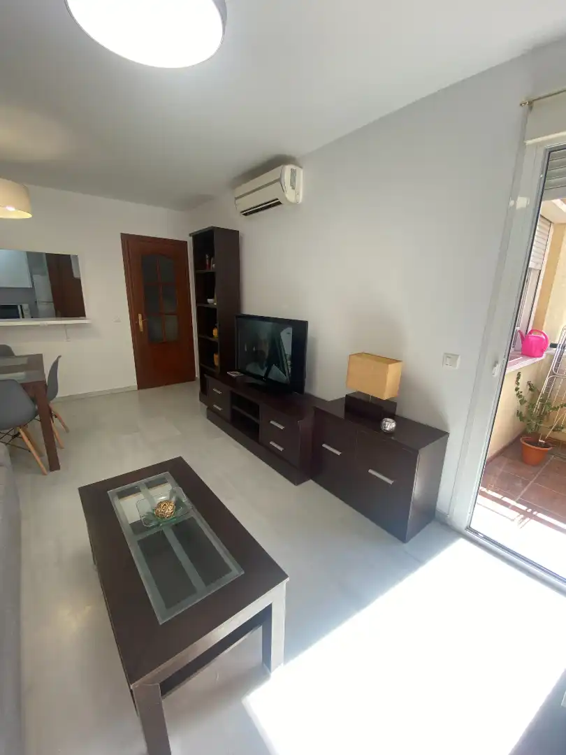Living room of Apartments for rent in Málaga  with Air Conditioner, Terrace and Furnished