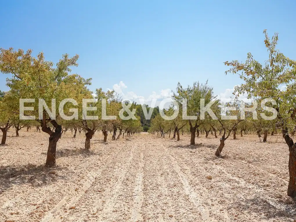 Finca rústica en venda a Requena