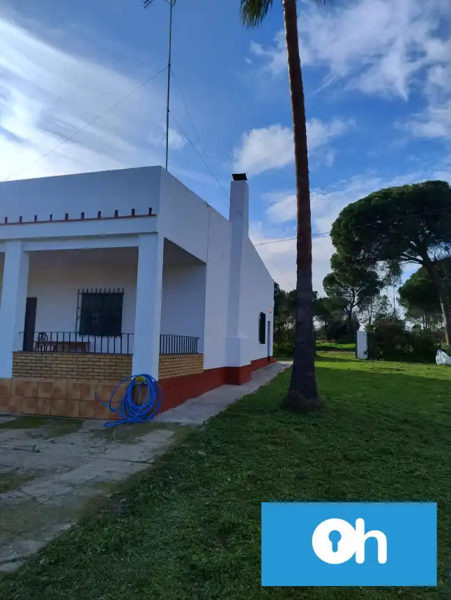 Vista exterior de Finca rústica en venta en Bonares