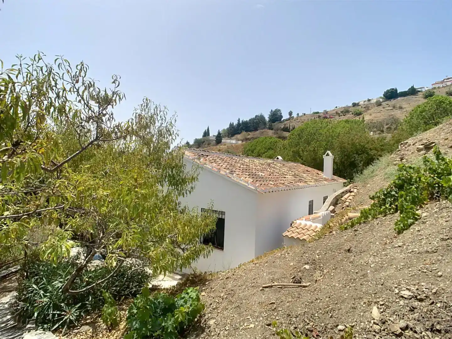 Finca rústica en venda a Camino de Benamayor, 115o, Cómpeta