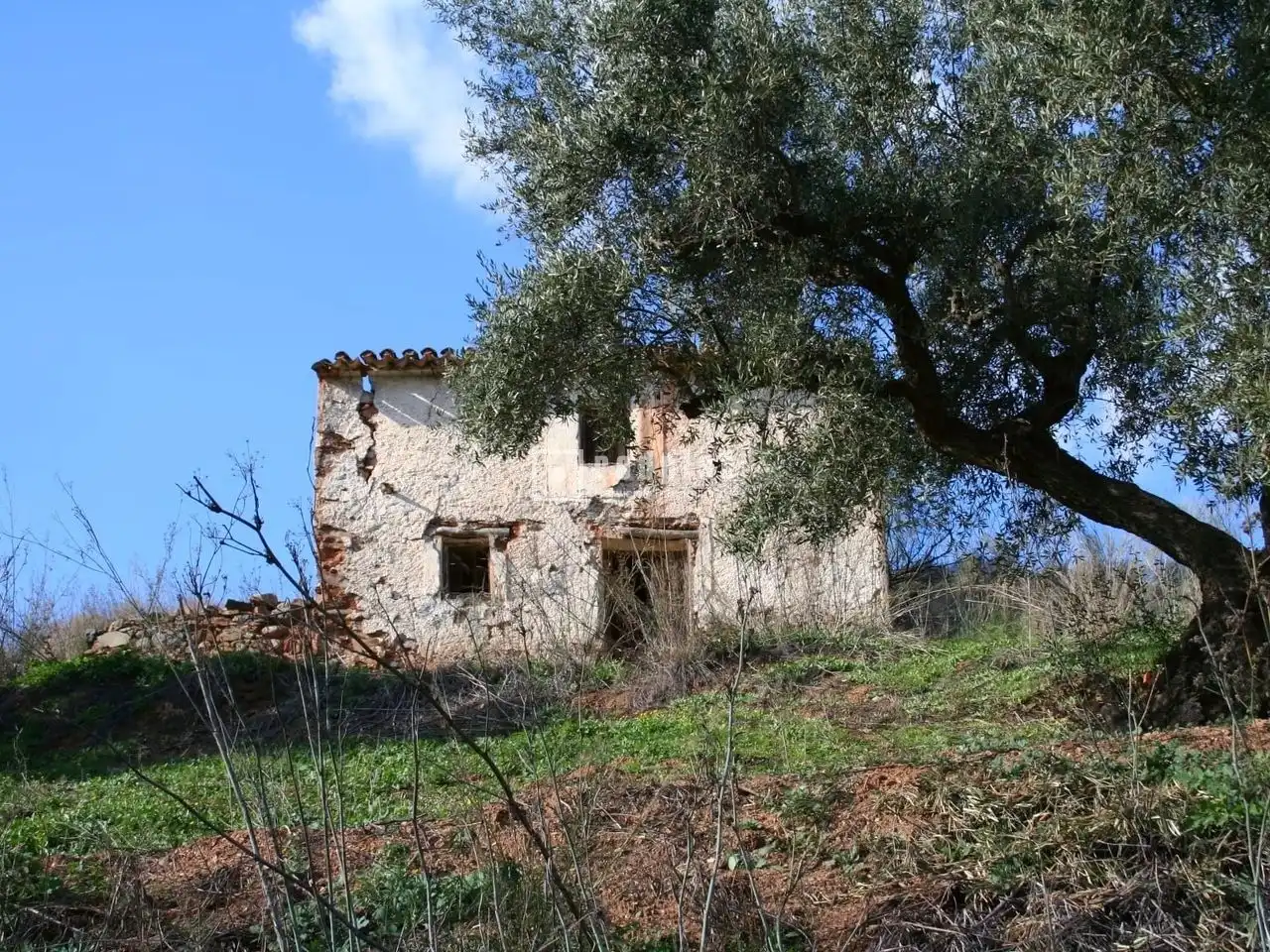 Maison à vendre à R3, imagen 7