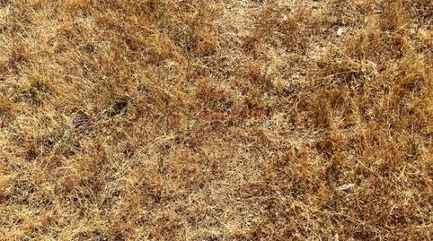 Foto 4 de Residencial en venda a Barrocanes, Ourense