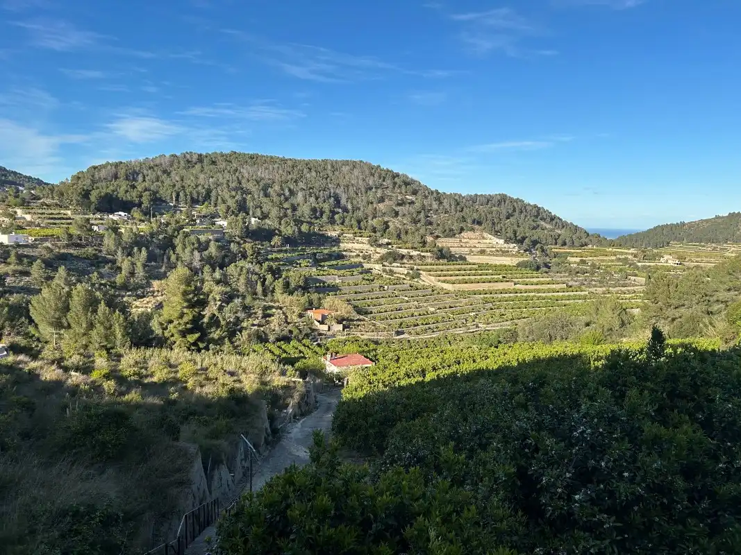 Finca rústica en venda a Urbanización Panorama II Sector 13, Oliva pueblo