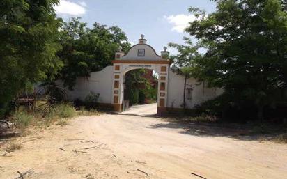 Exterior view of Land for sale in Marchena