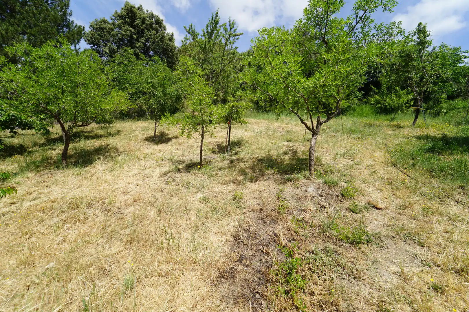 Finca rústica en venda en La Taha amb Terrassa i Moblat
