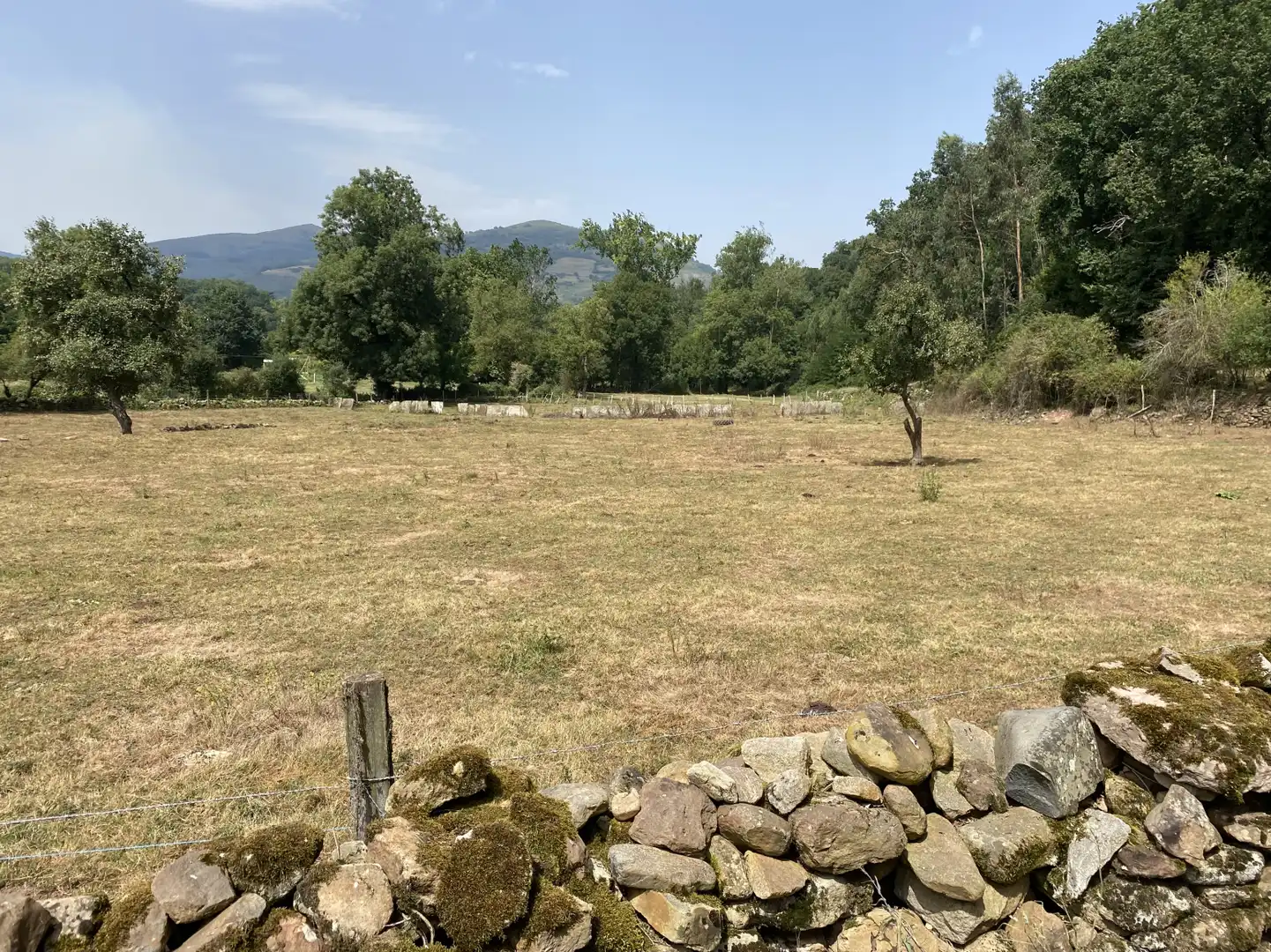 Terreni e lotti in vendita a San Juán de Raicedo - SAN JUAN DE RAICEDO, imagen 2