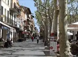 Maison rustique à vendre à Sa Pobla, imagen 14