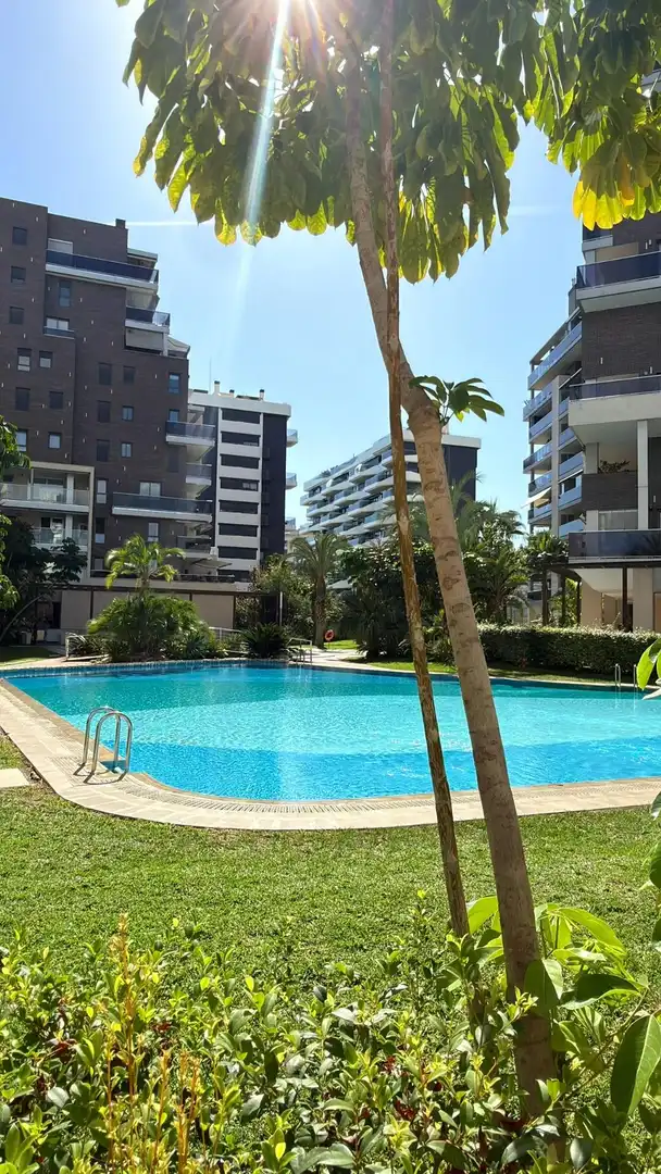 Piso con piscina en alquiler en Avenida Maestro José Garberi Serrano, imagen 50