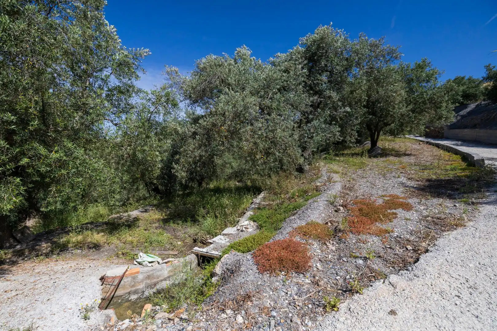 Rustikales Grundstück zum Verkauf in POLIGONO 20 PARCELA 90, imagen 24