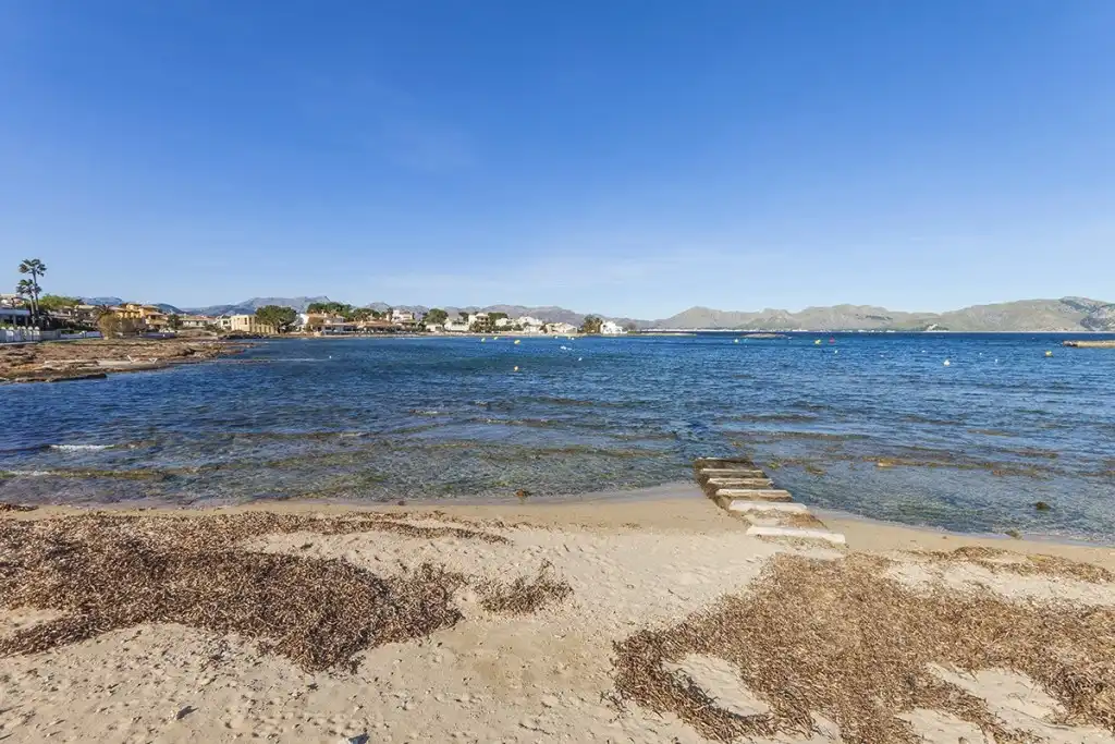 Vista exterior de Casa o xalet en venda en Alcúdia amb Aire condicionat, Jardí privat i Terrassa