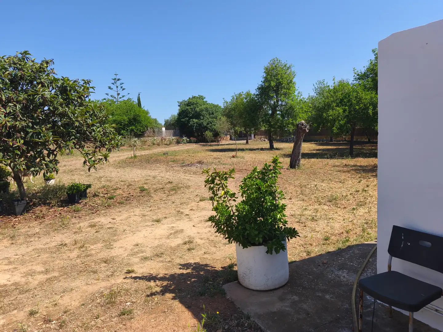 Villa mit Garten zum Verkauf in Algaida, imagen 15