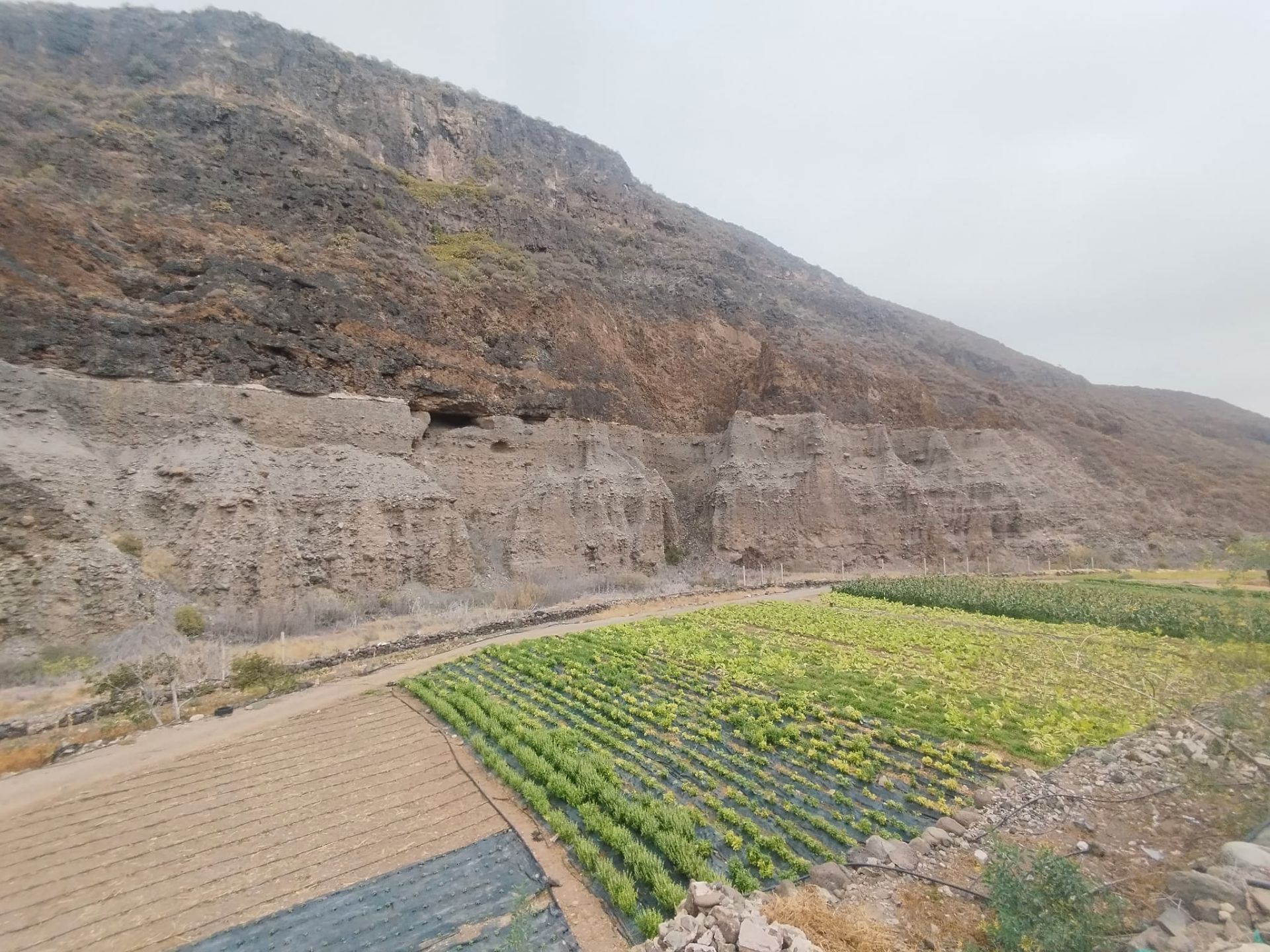 Jardí de Finca rústica en venda en Las Palmas de Gran Canaria amb Jardí privat i Terrassa