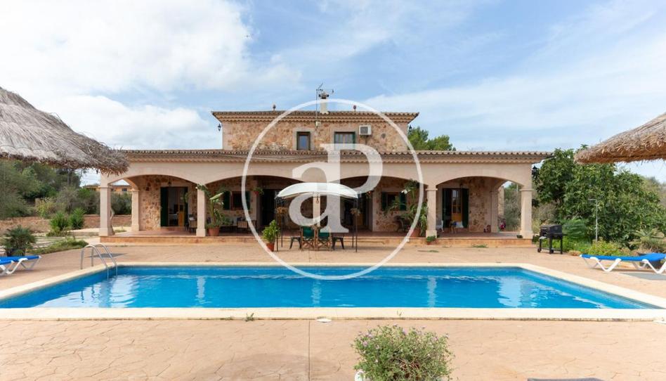 Photo 1 of House or chalet to rent in Camí Cas Cabo, Sencelles, Illes Balears