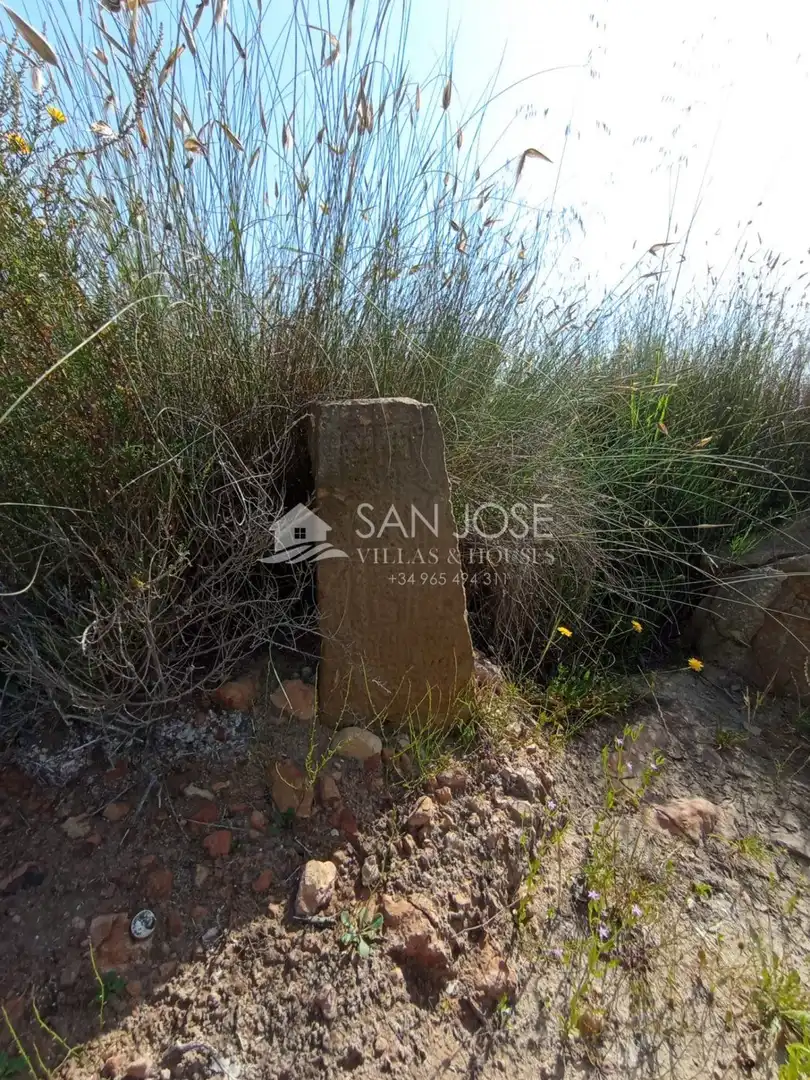 Terreno en venta en Elche / Elx