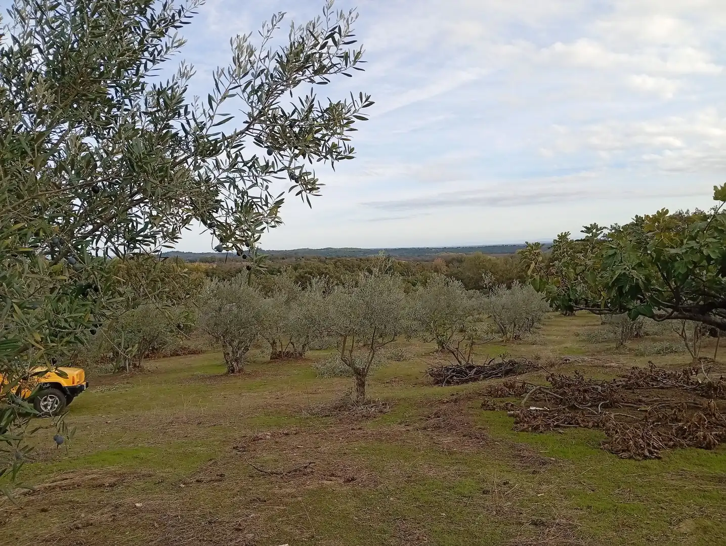 Terreni e lotti in vendita a Villanueva de la Vera, imagen 54