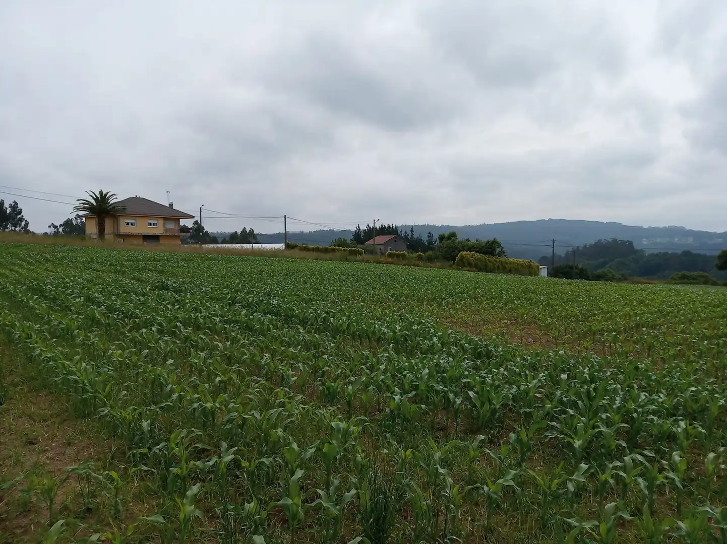 Wohnbaugrundstück zum Verkauf in Carballo, imagen 8