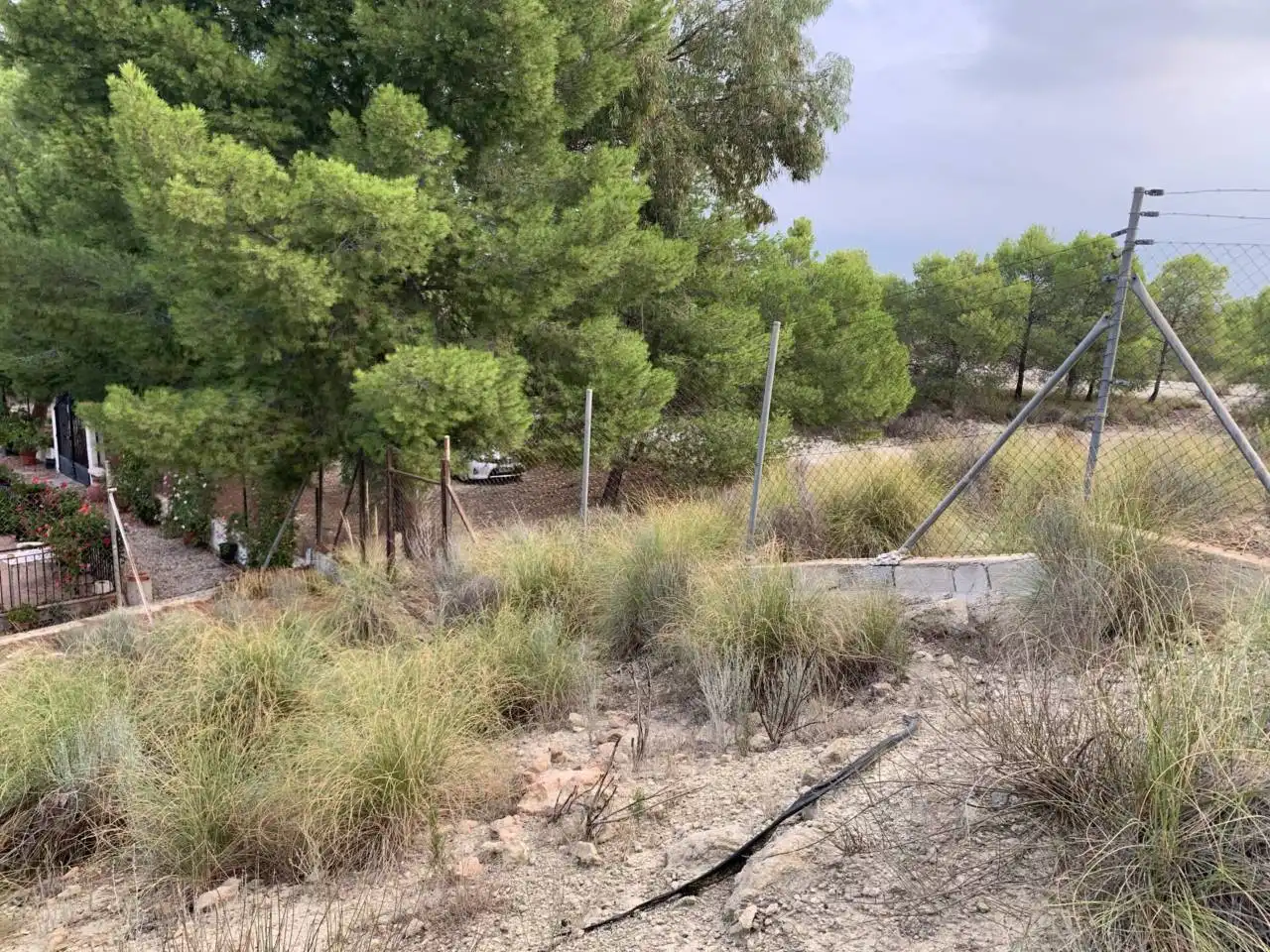 Xalet en venda a Calle LOS FRANCISQUETES, imagen 35