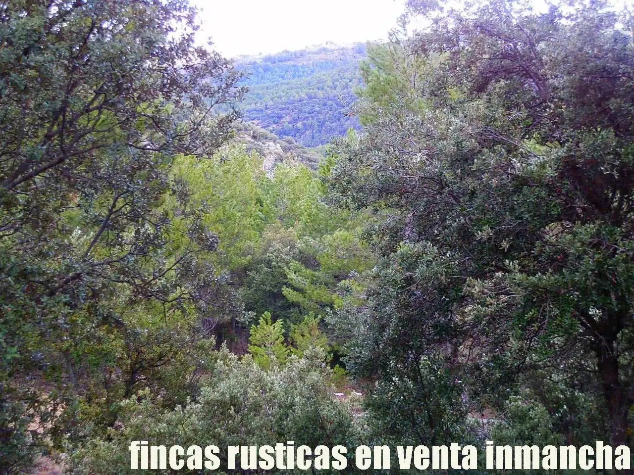 Terreno rústico en venta en Nerpio, imagen 12