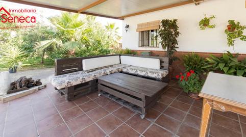 Photo 3 of House or chalet for sale in Condor, Villarrubia,  Córdoba Capital