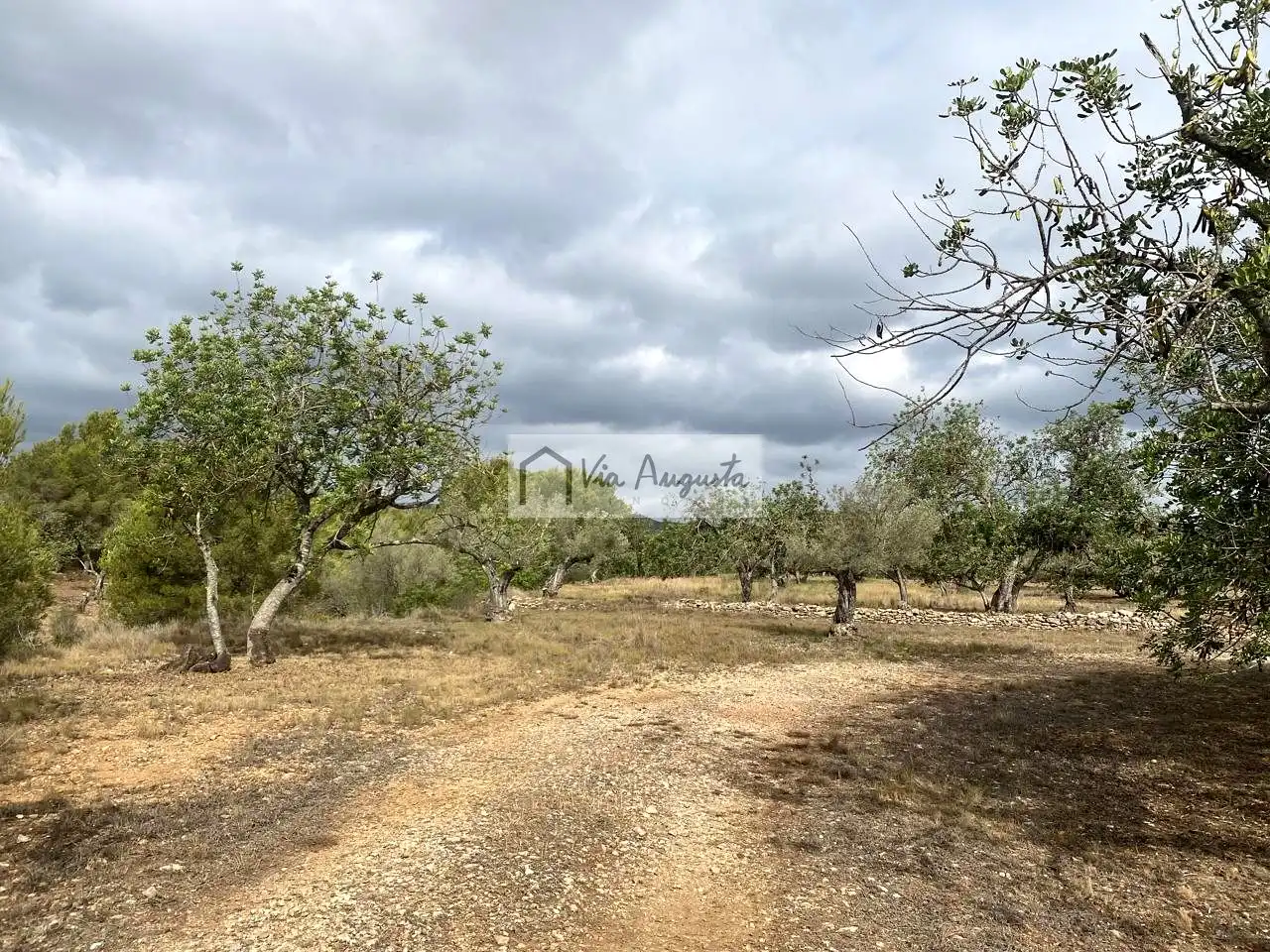 Terreno rustico in vendita a Mas de Baralluga, imagen 9