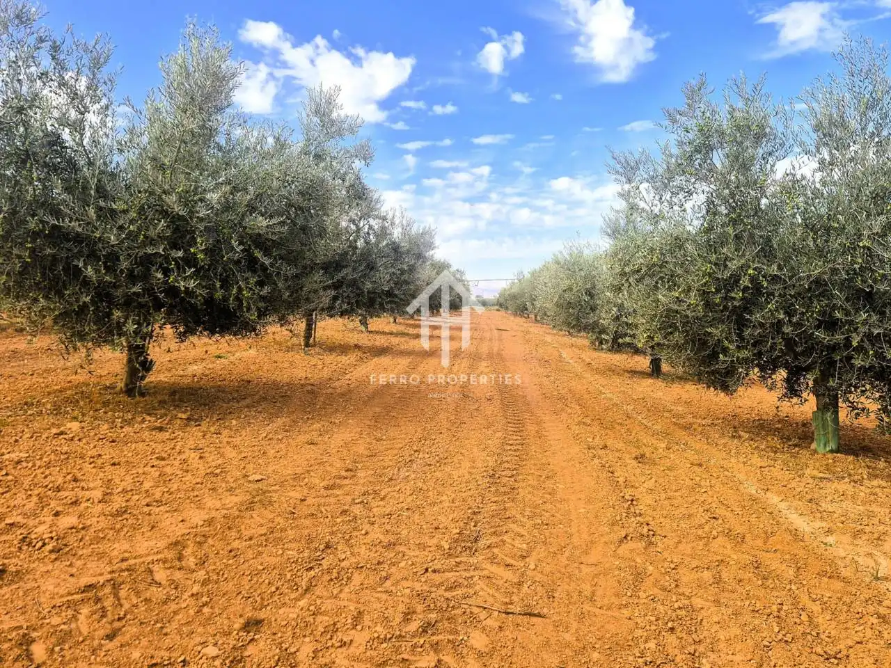 Rural land for sale in Moraleda de Zafayona, imagen 19