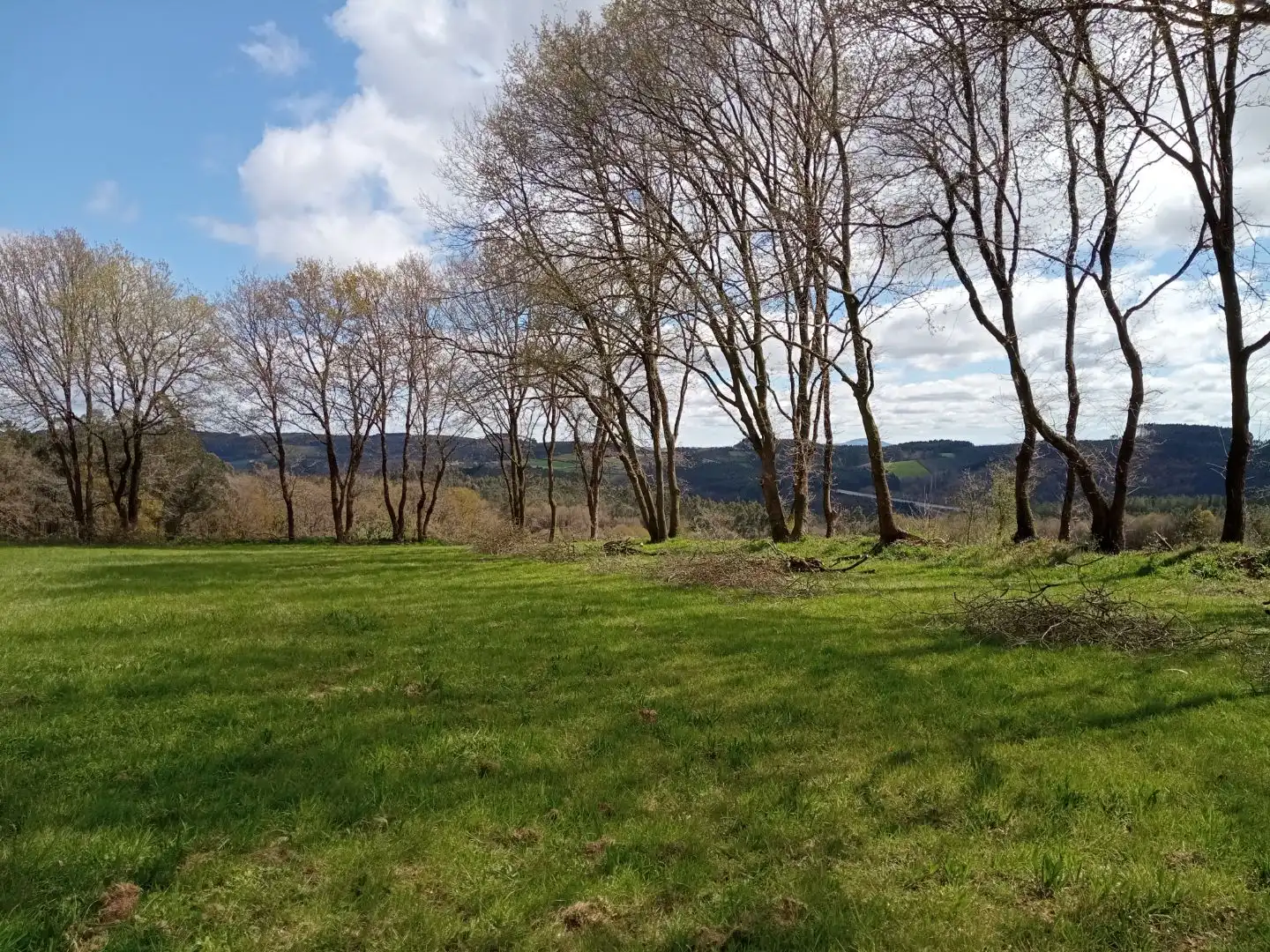Terreno en venta en Arzúa